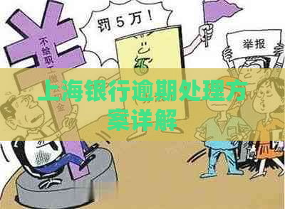 上海银行逾期处理方案详解