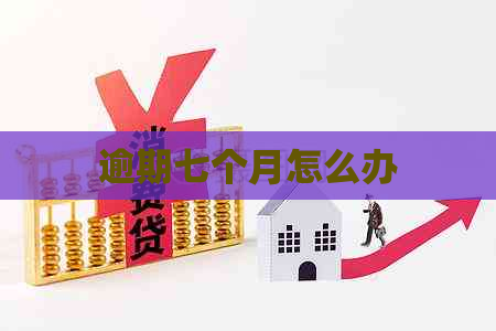 逾期七个月怎么办