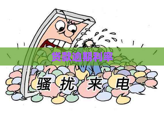 贷款逾期利率