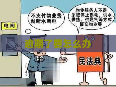 逾期了要怎么办