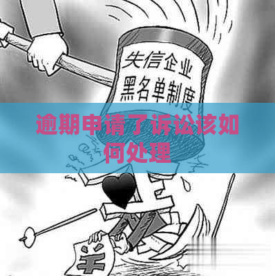 逾期申请了诉讼该如何处理