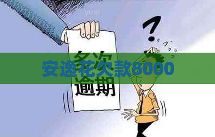 安逸花欠款8000