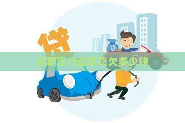 徽商银行徽享贷欠多少钱