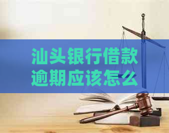 汕头银行借款逾期应该怎么协商处理