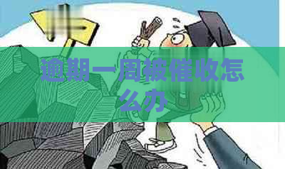 逾期一周被怎么办