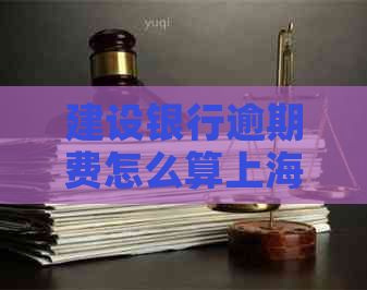 建设银行逾期费怎么算上海的具体计算方法