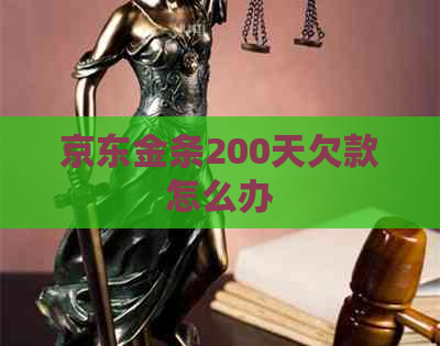 京东金条200天欠款怎么办