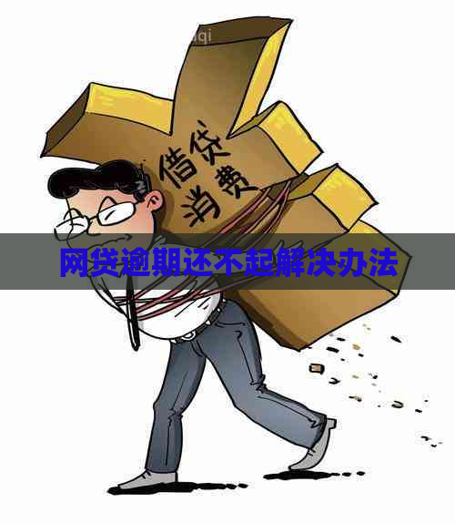 网贷逾期还不起解决办法