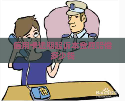 信用卡逾期起诉本金应赔偿多少钱