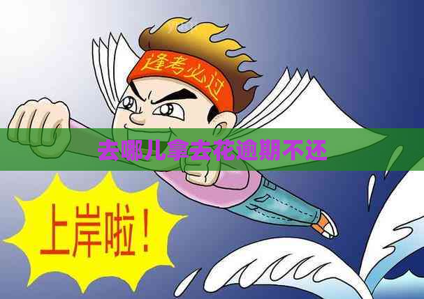 去哪儿拿去花逾期不还