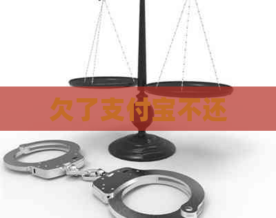 欠了支付宝不还