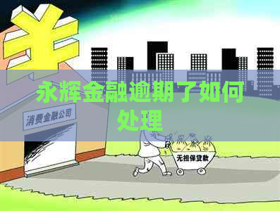 永辉金融逾期了如何处理