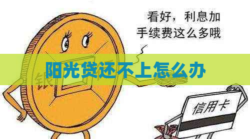 阳光贷还不上怎么办