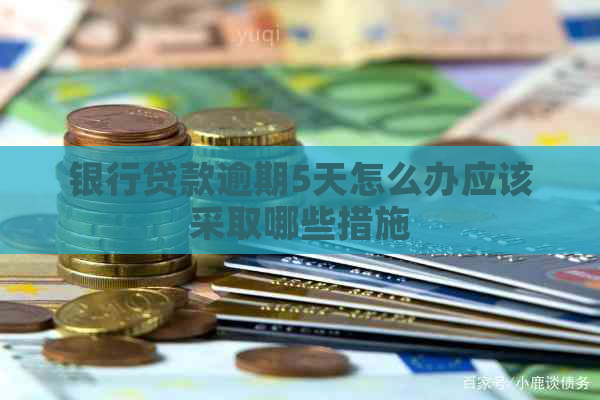 银行贷款逾期5天怎么办应该采取哪些措施