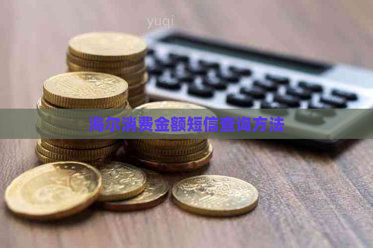 海尔消费金额短信查询方法