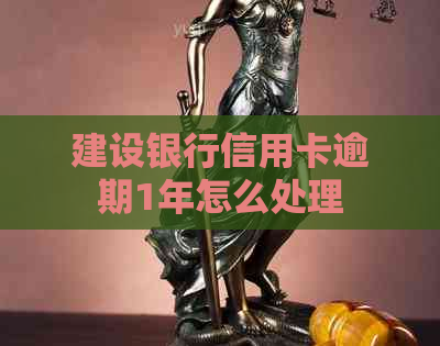 建设银行信用卡逾期1年怎么处理