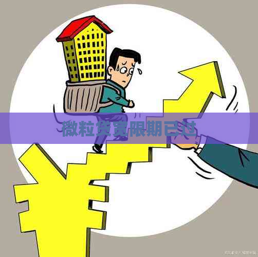微粒贷宽限期已过