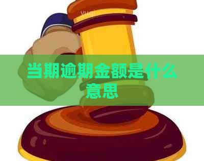 当期逾期金额是什么意思