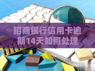 招商银行信用卡逾期14天如何处理
