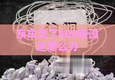 京东欠了600块没还怎么办