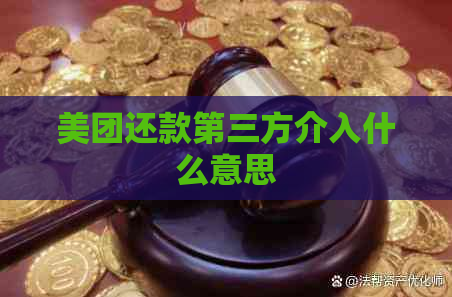 美团还款第三方介入什么意思
