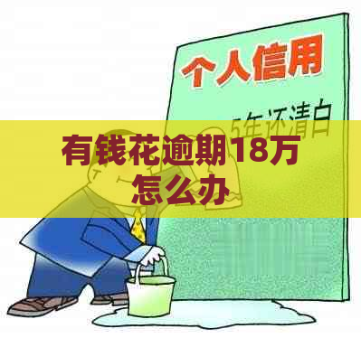 有钱花逾期18万怎么办