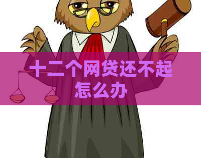 十二个网贷还不起怎么办