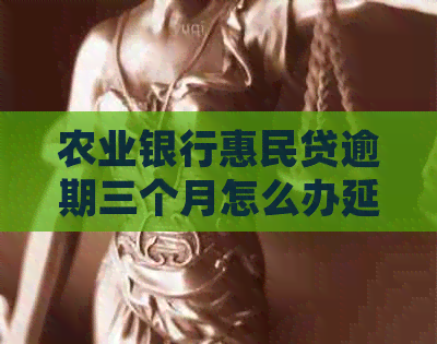 农业银行惠民贷逾期三个月怎么办延期还款