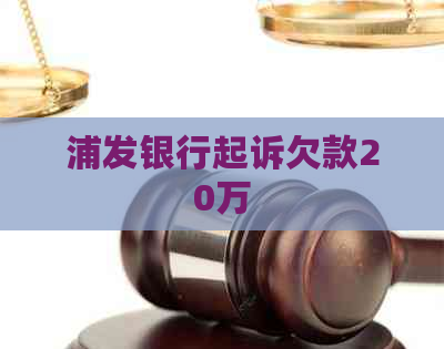 浦发银行起诉欠款20万