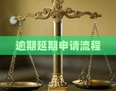 逾期延期申请流程