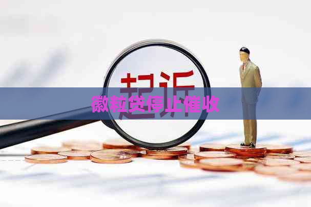 徽粒贷停止