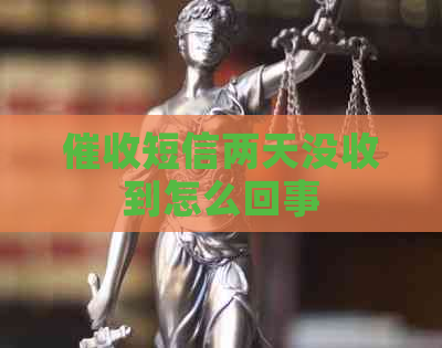 短信两天没收到怎么回事