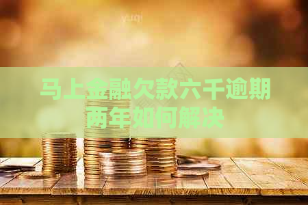 马上金融欠款六千逾期两年如何解决