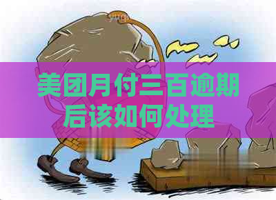 美团月付三百逾期后该如何处理