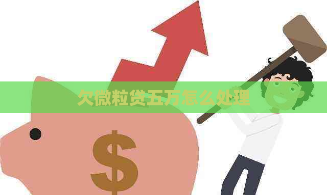 欠微粒贷五万怎么处理