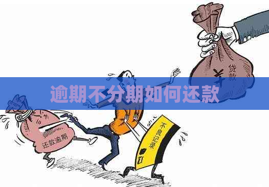 逾期不分期如何还款