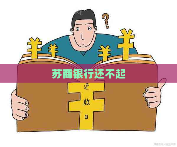 苏商银行还不起
