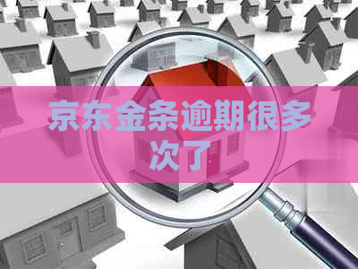 京东金条逾期很多次了