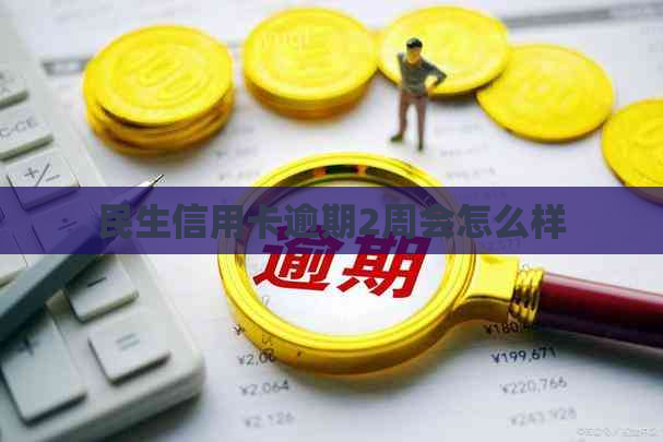 民生信用卡逾期2周会怎么样