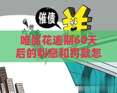 唯品花逾期60天后的利息和罚款怎么计算