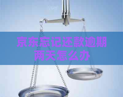 京东忘记还款逾期两天怎么办