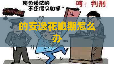 的安逸花逾期怎么办
