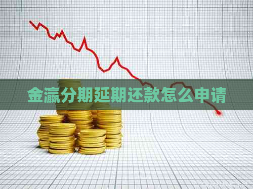 金瀛分期延期还款怎么申请