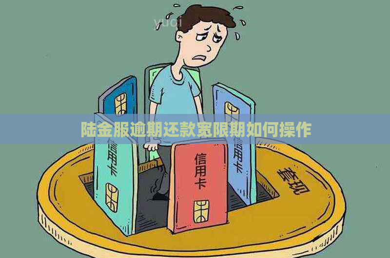 陆金服逾期还款宽限期如何操作