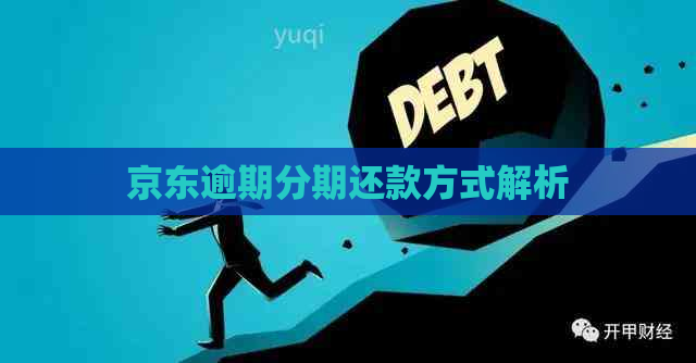 京东逾期分期还款方式解析