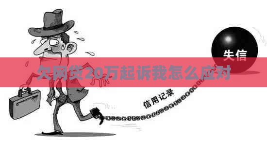欠网贷20万起诉我怎么应对