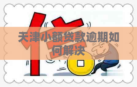 天津小额贷款逾期如何解决