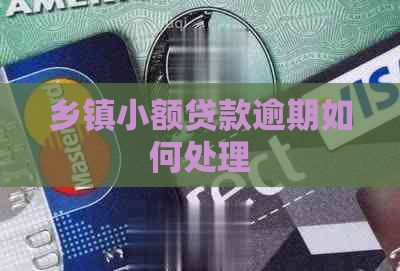 乡镇小额贷款逾期如何处理