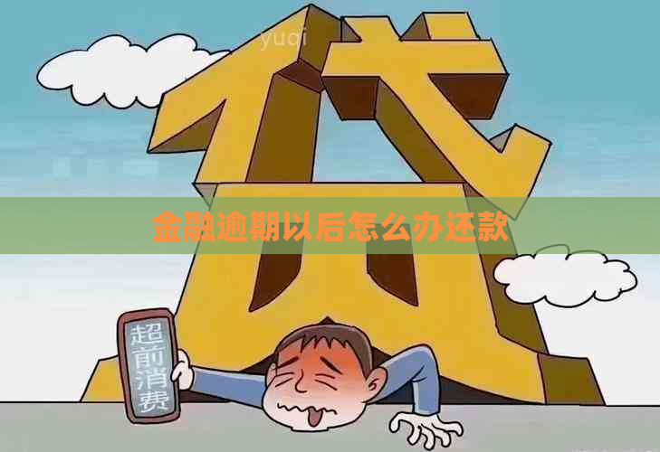 金融逾期以后怎么办还款