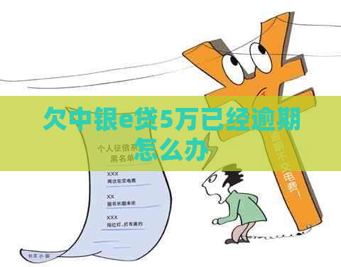 欠中银e贷5万已经逾期怎么办